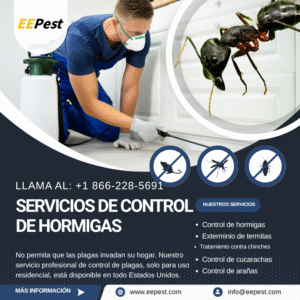 Empresa de control de hormigas en Paterson, New Jersey cerca de mí: Llama al (888) 217-3407