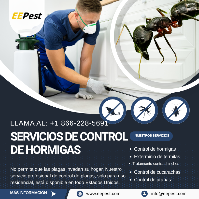 Empresa de control de hormigas en Wrightsboro, Georgia cerca de mí: Llama al (888) 217-3407