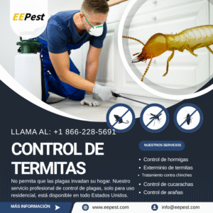 Empresa de control de termitas en Paterson, New Jersey cerca de mí. Llame al (888) 217-3407.