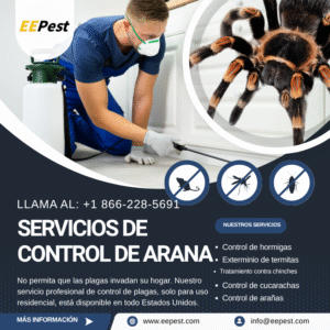 Empresa de control de arañas en Paterson, New Jersey cerca de mí. Llame al (888) 217-3407.