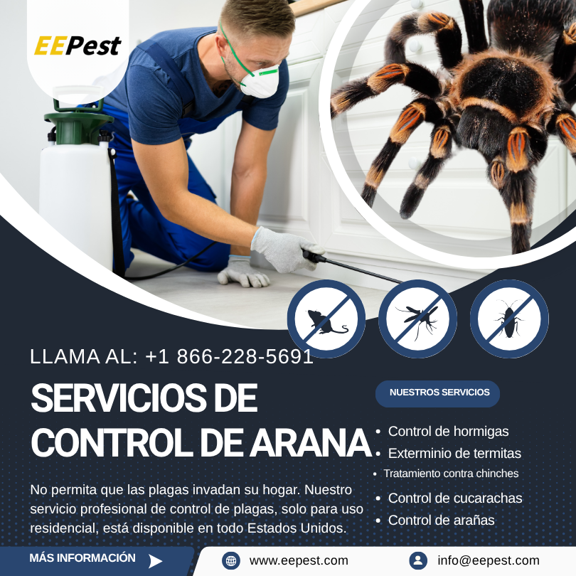 Empresa de control de arañas en Wrightsboro, Georgia cerca de mí. Llame al (888) 217-3407.