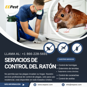 Empresa de control de ratones en Paterson, New Jersey cerca de mí. Llame al (888) 217-3407.