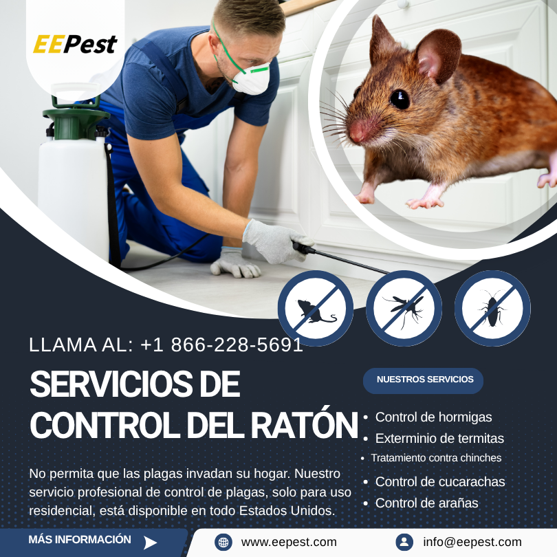 Empresa de control de ratones en Wrightsboro, Georgia cerca de mí. Llame al (888) 217-3407.