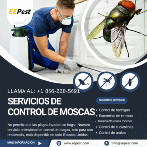 Empresa de control de moscas en Paterson, New Jersey cerca de mí. Llame al (888) 217-3407.
