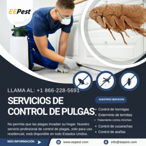 Empresa de control de pulgas en Paterson, New Jersey cerca de mí. Llame al (888) 217-3407.