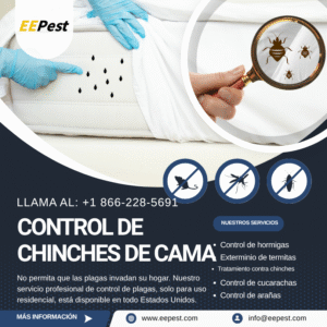 Empresa de control de chinches en Paterson, New Jersey cerca de mí. Llame al (888) 217-3407.