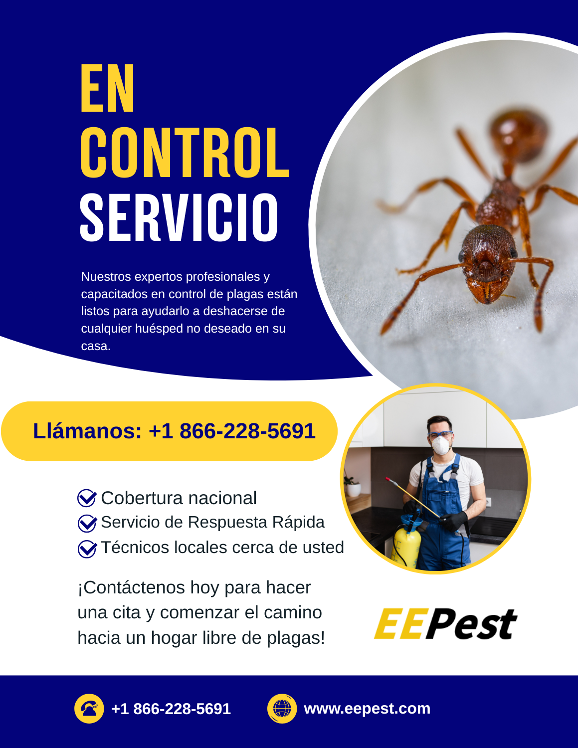 Empresa de control de hormigas en Columbus, Georgia cerca de mí: Llama al (888) 217-3407