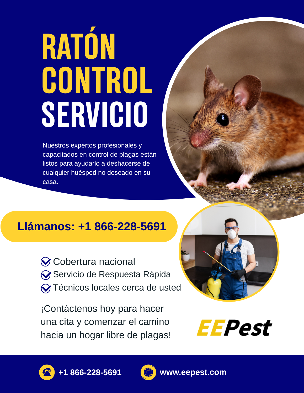 Empresa de control de ratones en Peoria, Arizona cerca de mí. Llame al (888) 217-3407.