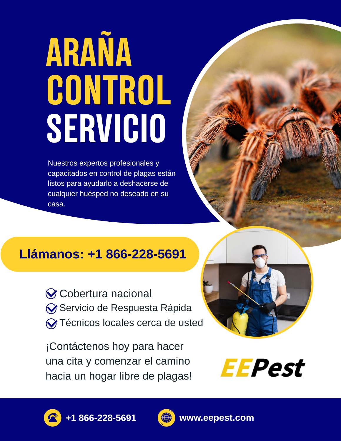Empresa de control de arañas en Chinatown, New York cerca de mí. Llame al (888) 217-3407.